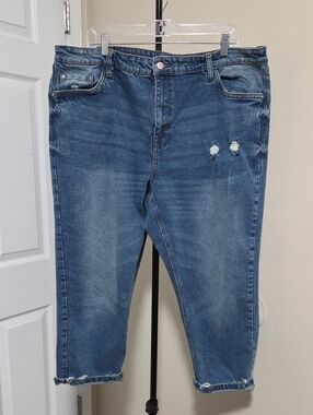 MyStyle Plus Size Blue Cropped Distressed Jeans